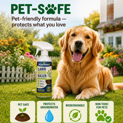 🔥 [Fall Yard Refresh] Easy & Stress-Free Domestic Weed Killer Spray | Fast-Acting Root Remover for Garden & Patio