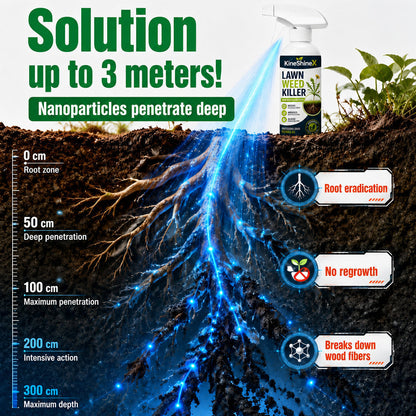 🔥 [Fall Yard Refresh] Easy & Stress-Free Domestic Weed Killer Spray | Fast-Acting Root Remover for Garden & Patio