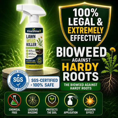 🔥 [Fall Yard Refresh] Easy & Stress-Free Domestic Weed Killer Spray | Fast-Acting Root Remover for Garden & Patio
